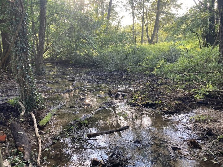 Verondiept zijbeekje Noor