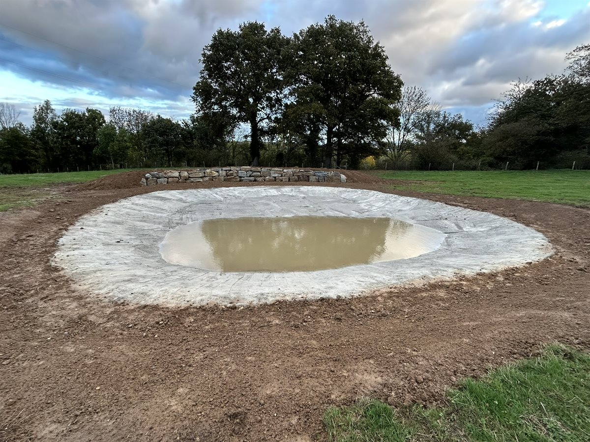 De poel op 23 oktober