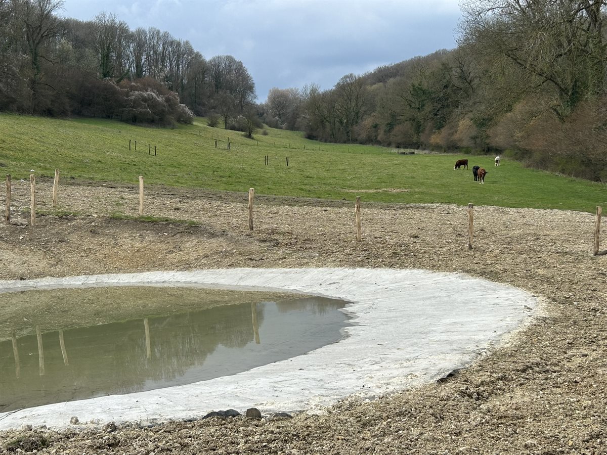 Beertsenhoven poel (maart 2026)