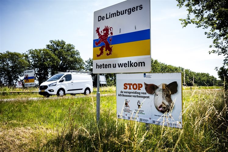 Waarschuwingsbord tegen Afrikaanse varkenspest. Foto: ANP / Hollandse Hoogte / Rob Engelaar
