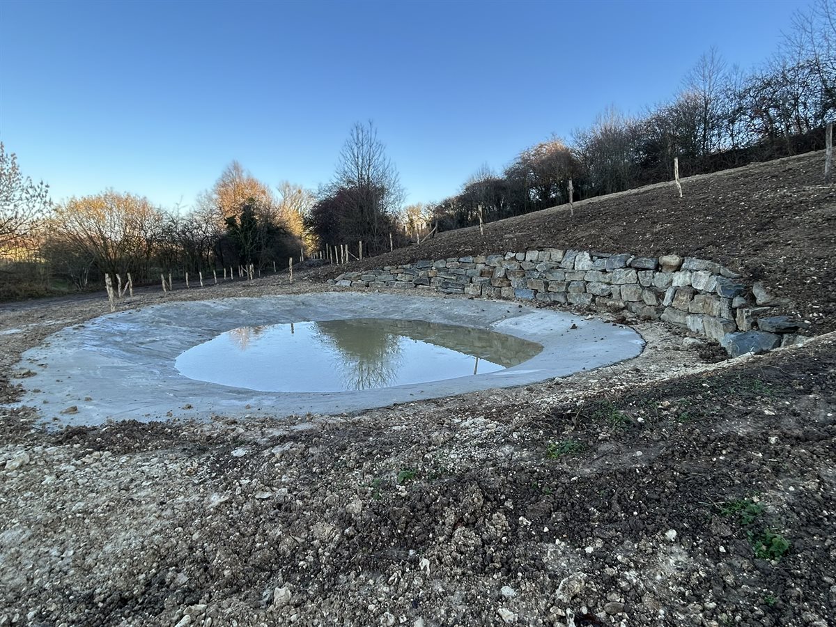 3 Locatie 6 Onderste heideweg_poel 15-12