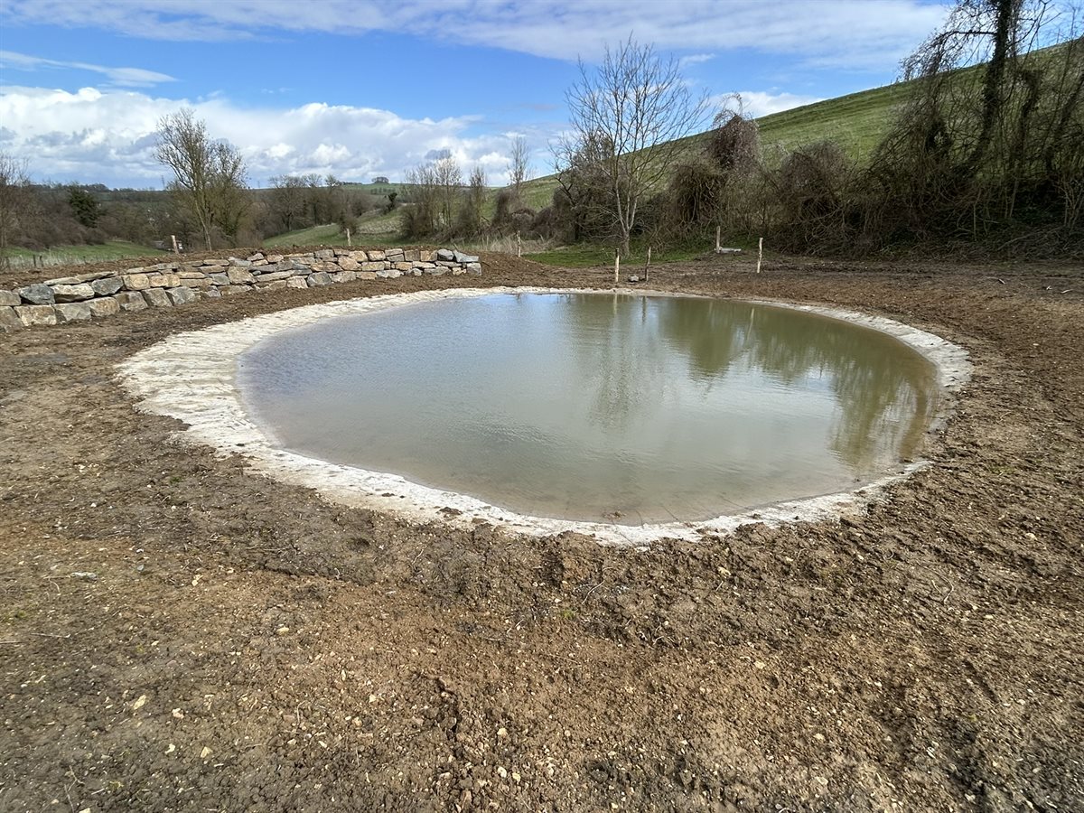 Gronzedellerweg poel (maart 2026)