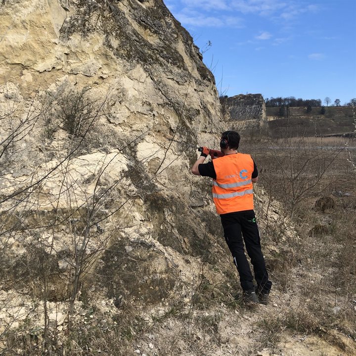 Creëren van hagedissenholen