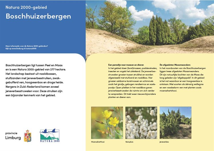 Poster Boschhuizerbergen