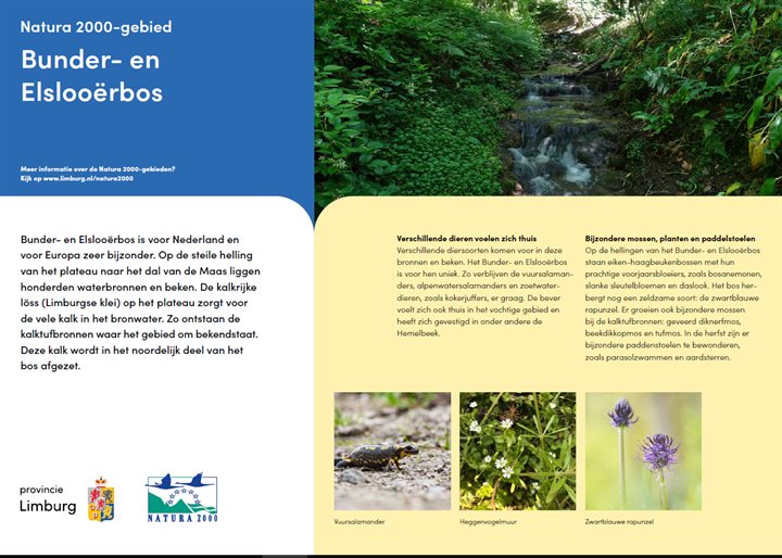 Poster Bunder- en Elslooërbos