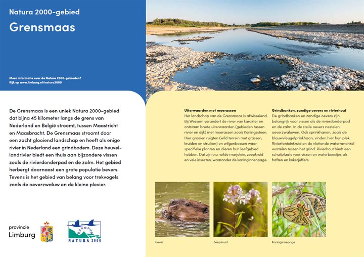 Poster2 Grensmaas