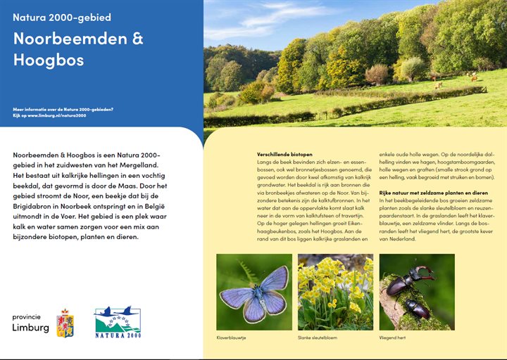Poster Noorbeemden Hoogbos