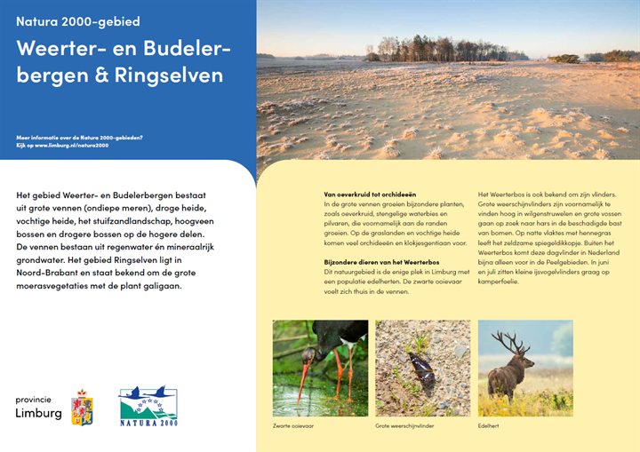 Poster Weerter Budelerbergen Ringselven