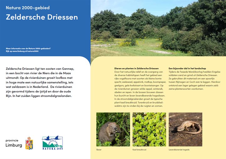 Poster Zeldersche Driessen