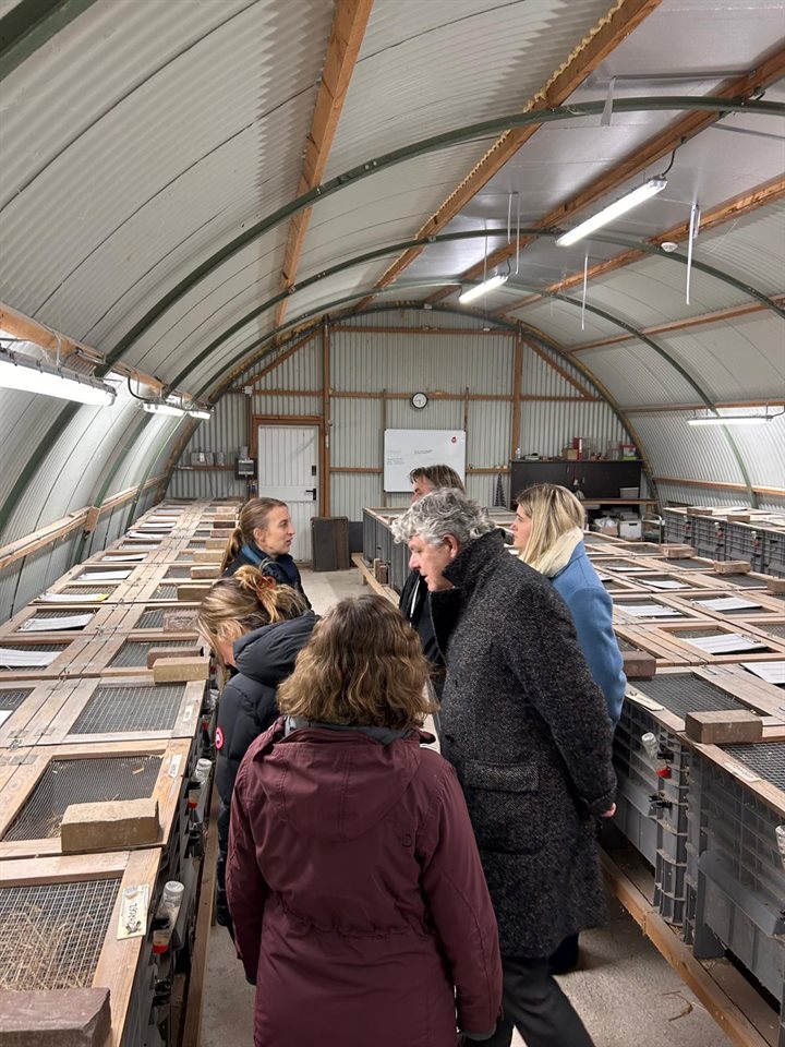 De delegatie in de loods van het fokprogramma