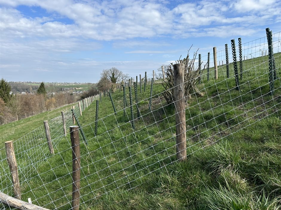 Graftbeplanting (maart 2026)