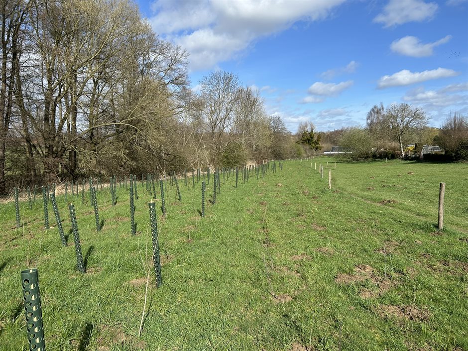 Bosplantsoen en struweel (maart 2026)