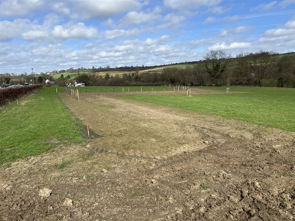 Grondwal en haag (maart 2026)