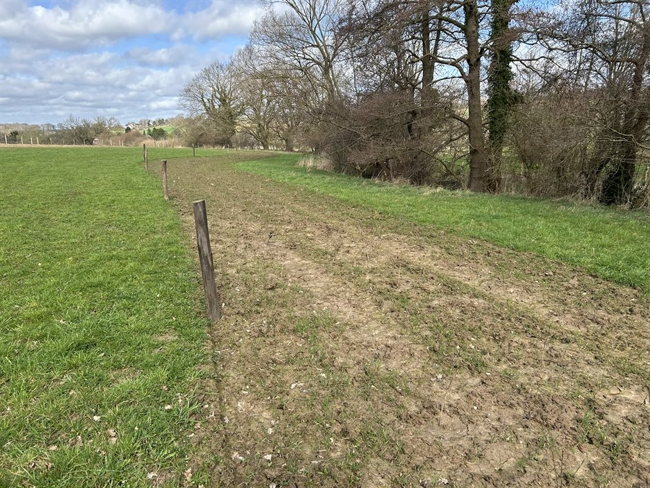 Struweelstrook (maart 2026)