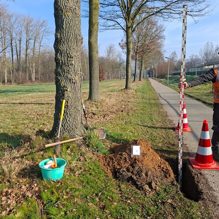 Graafwerk en metingen bij een boom
