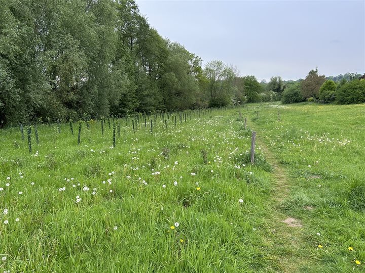 INN Geuldal aanplantlemierslocatie