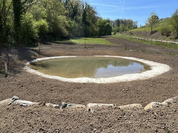 Uniek en divers natuurgebied Van Rothem (Meerssen) tot Lemiers (Vaals) zijn verspreid over 15 locaties nieuwe natuurpercelen ingericht. Daarbij is vooraf en tijdens de uitvoering samengewerkt met de partners in het gebied. Het resultaat is een divers la