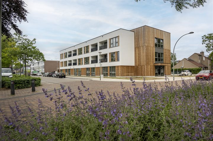 Donderhof in Roermond