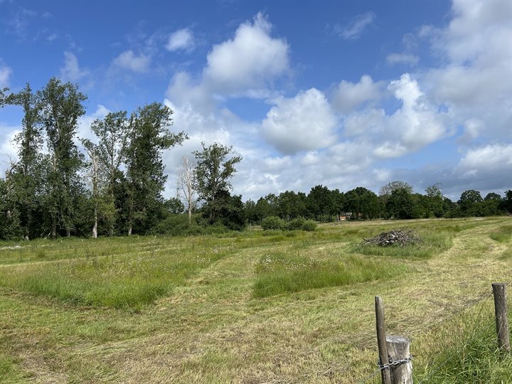 Glanshaverhooiland dat gefaseerd gemaaid is