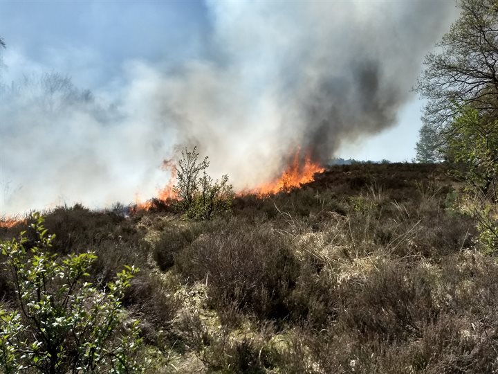 Natuurbrand
