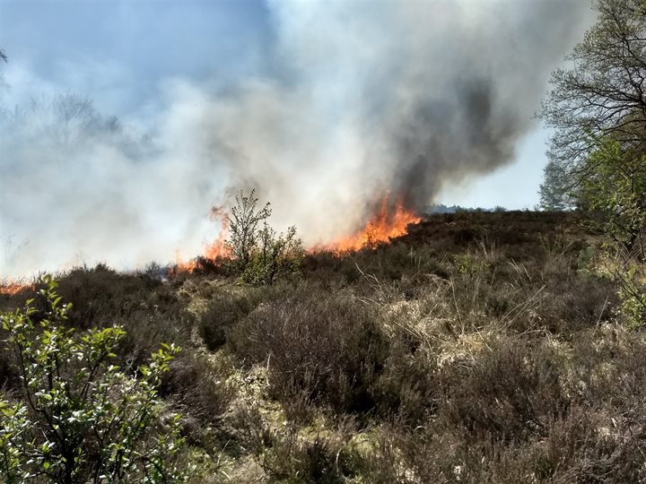 natuurbrandrisico