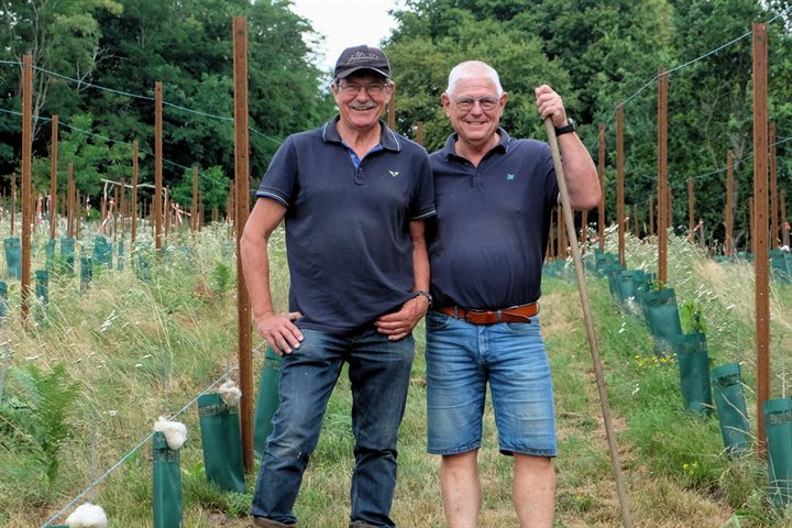 Dolf en Giel aan het werk in de wijngaard 2